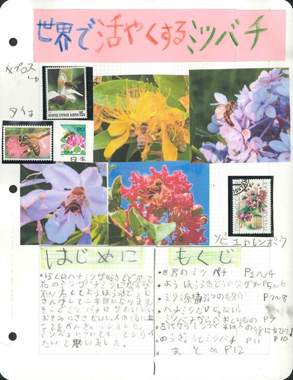 世界で活やくするミツバチ