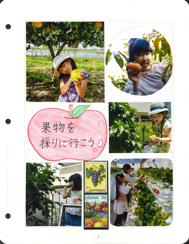 果物を採りに行こう!